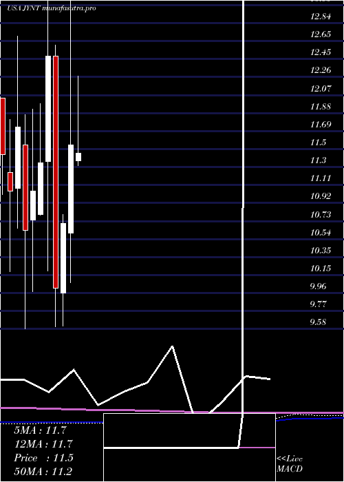 monthly chart JointCorp
