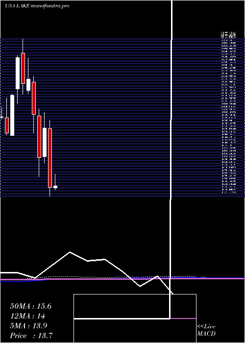 monthly chart LakelandIndustries