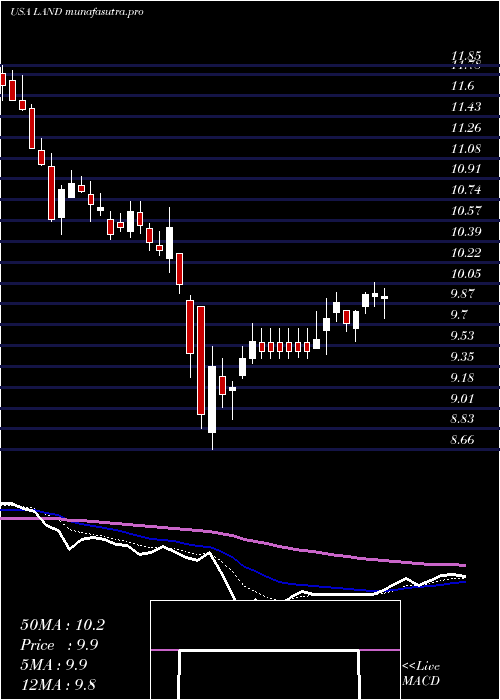  Daily chart GladstoneLand