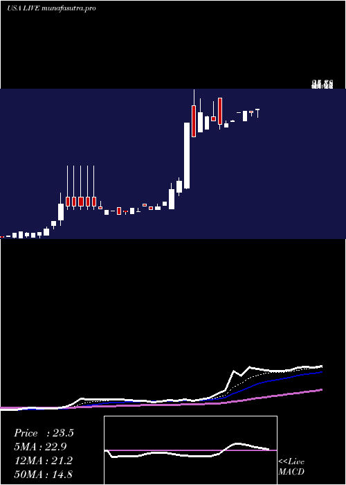 Daily chart LiveVentures