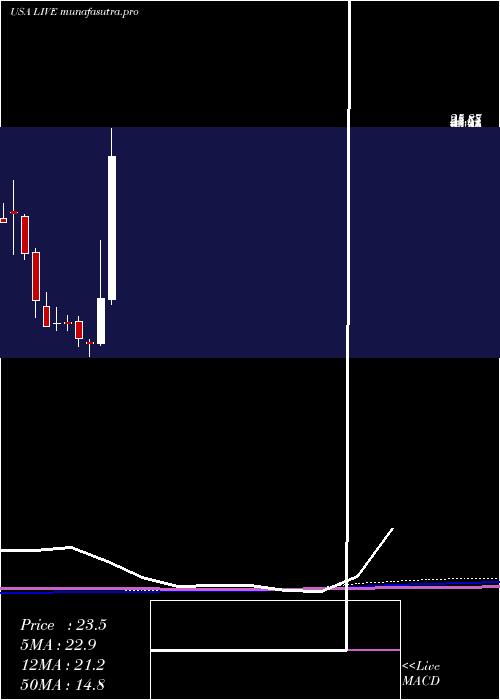 monthly chart LiveVentures