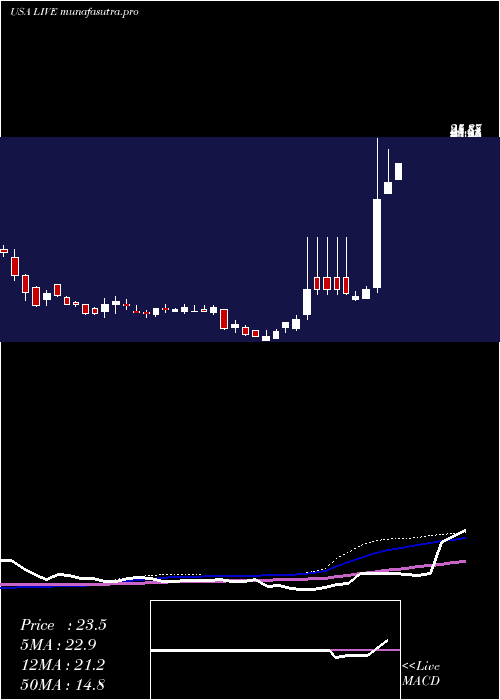 weekly chart LiveVentures