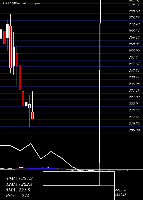 monthly chart LoweS