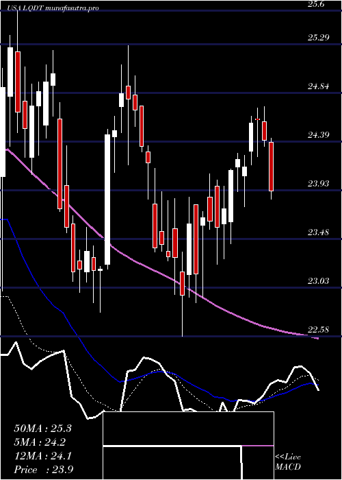 Daily chart LiquidityServices