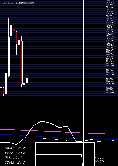 monthly chart LiquidityServices