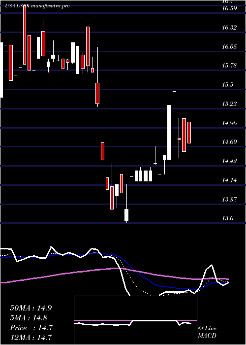  Daily chart LakeShore