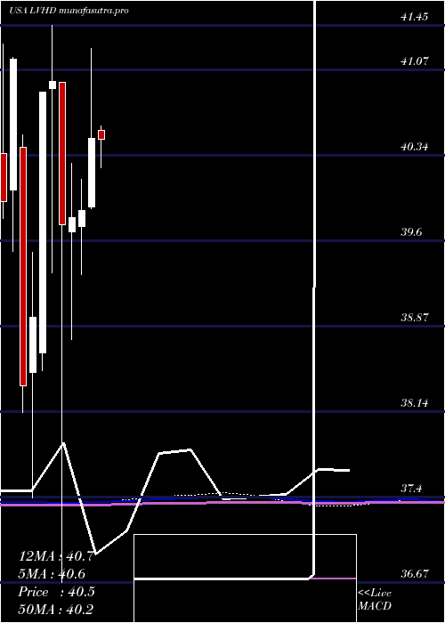  monthly chart LeggMason