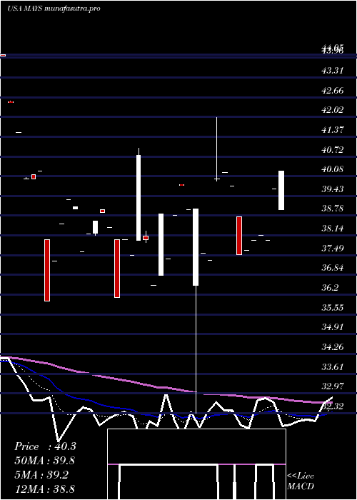 Daily chart JW