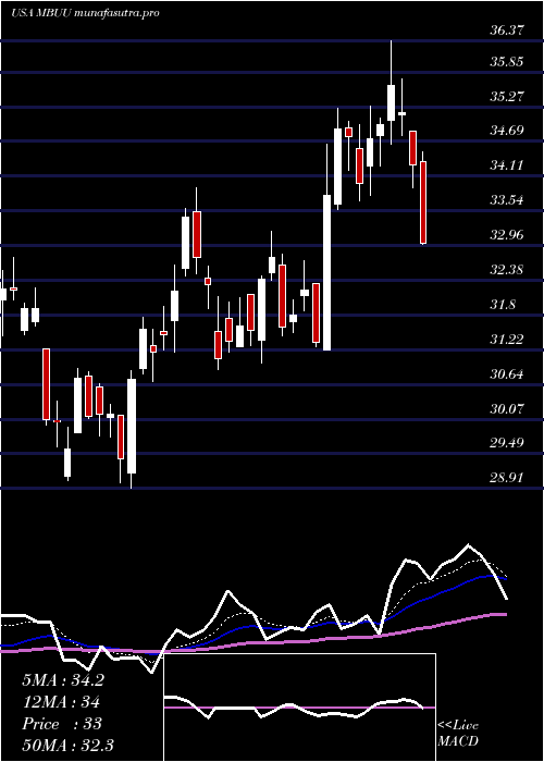 Daily chart MalibuBoats