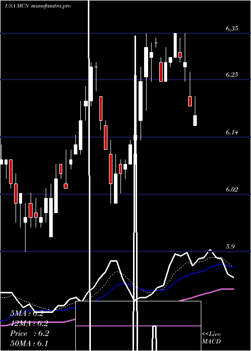 Daily chart MadisonCovered
