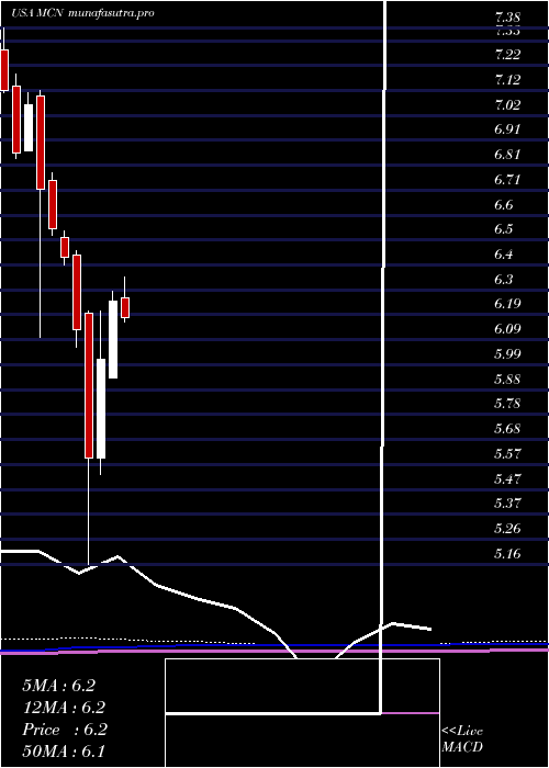 monthly chart MadisonCovered