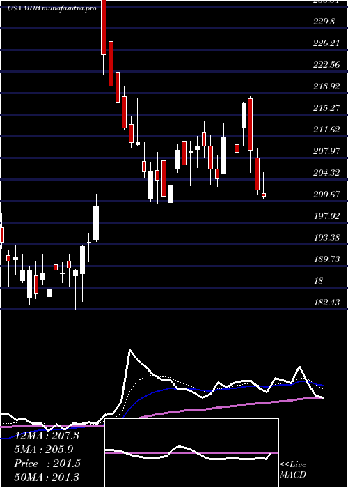Daily chart MongodbInc
