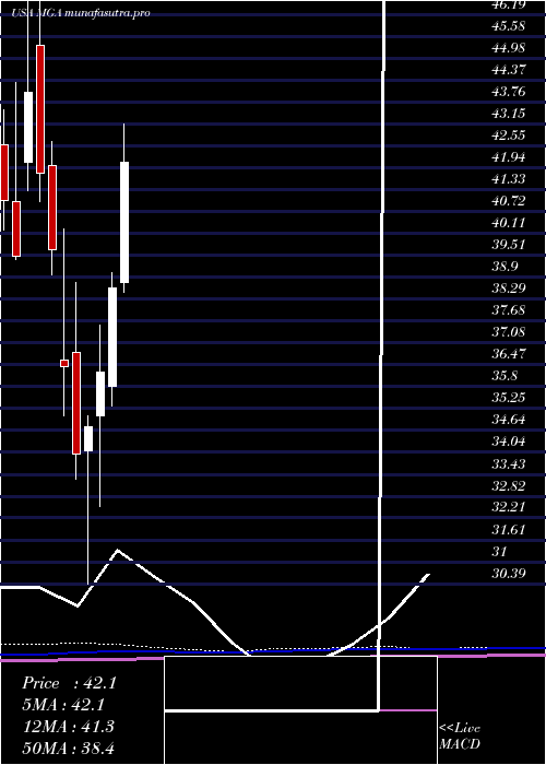 monthly chart MagnaInternational