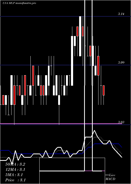 Daily chart MfsGovernment