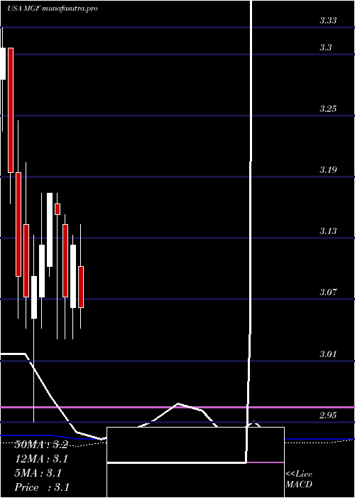 monthly chart MfsGovernment