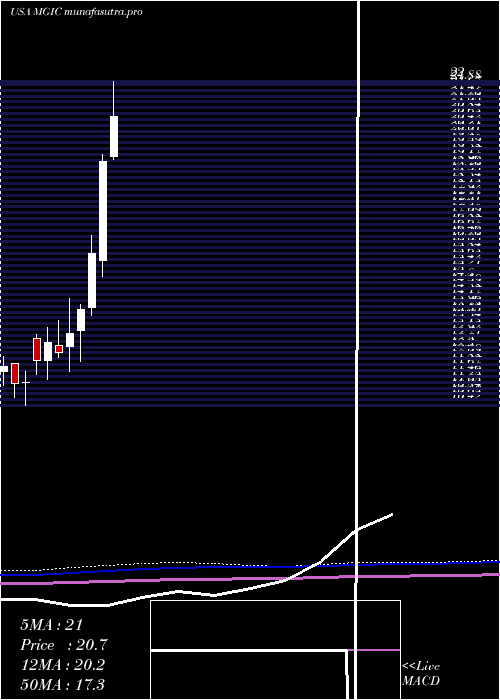 monthly chart MagicSoftware