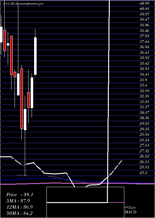 monthly chart MgmResorts