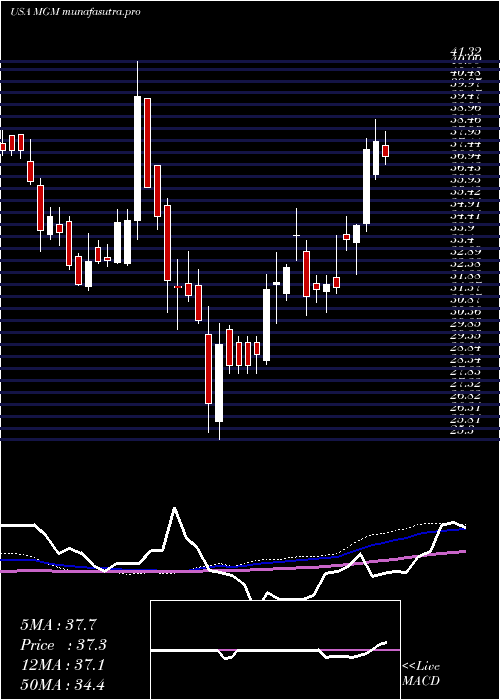 weekly chart MgmResorts