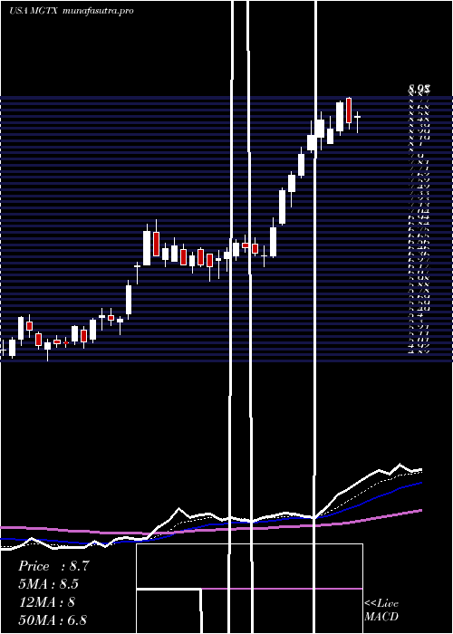 Daily chart MeiragtxHoldings