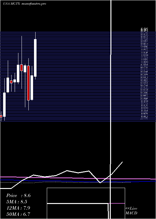 monthly chart MeiragtxHoldings
