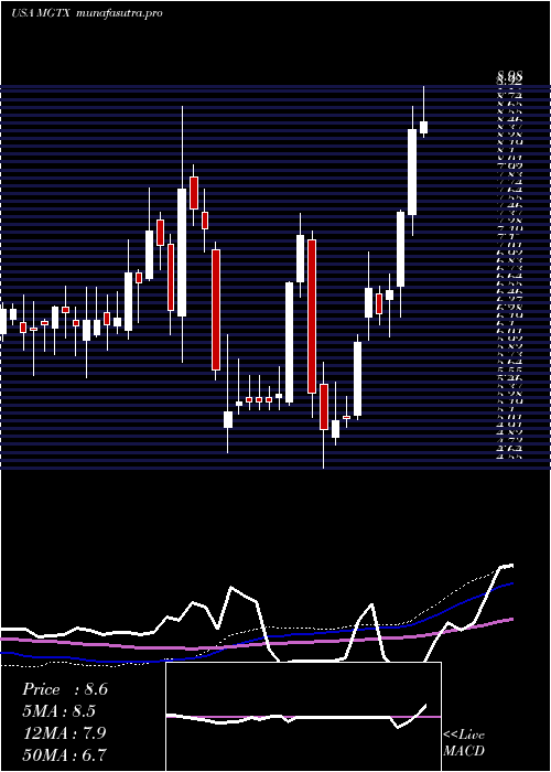 weekly chart MeiragtxHoldings