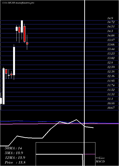  monthly chart MagyarBancorp