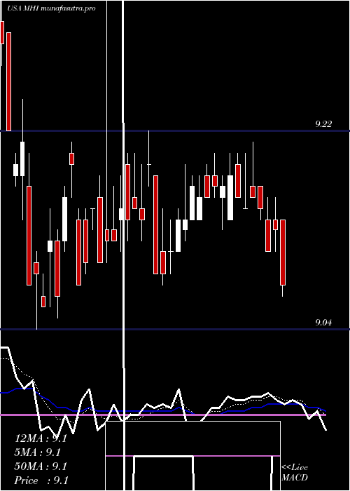 Daily chart PioneerMunicipal