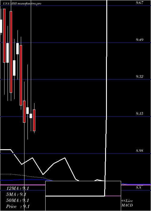 monthly chart PioneerMunicipal
