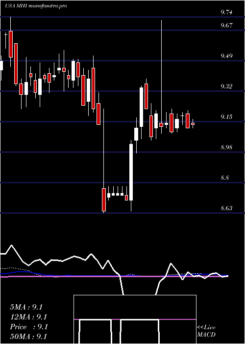 weekly chart PioneerMunicipal