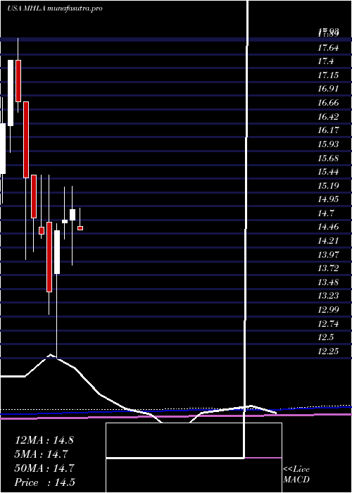 monthly chart MaidenHoldings