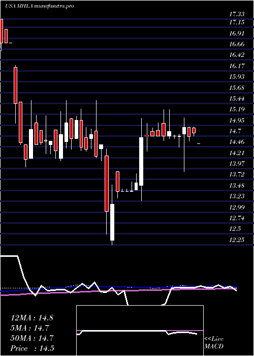 weekly chart MaidenHoldings