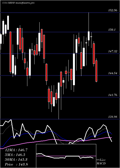 Daily chart MiddlebyCorporation