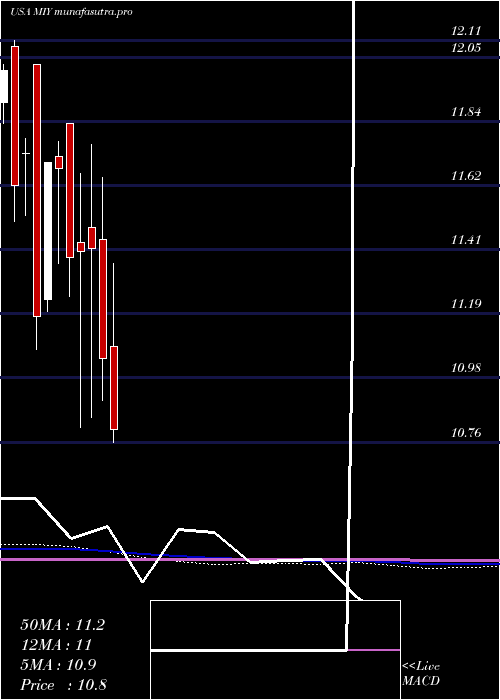 monthly chart BlackrockMuniyield
