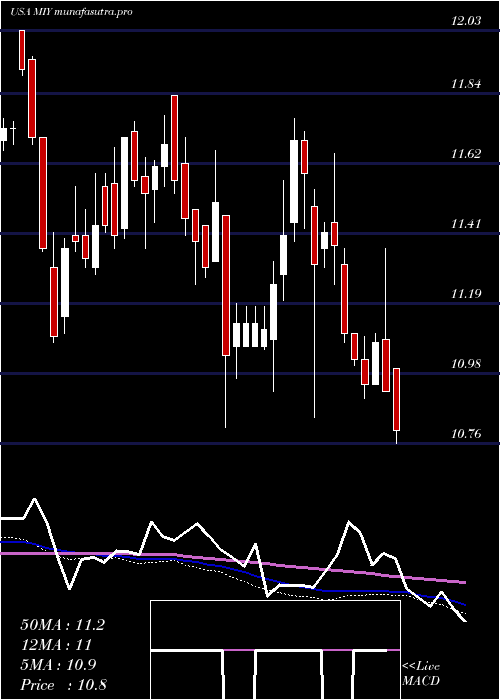 weekly chart BlackrockMuniyield