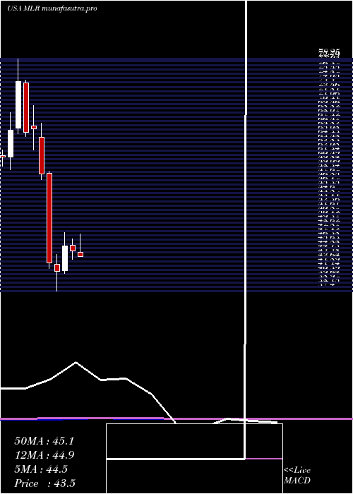 monthly chart MillerIndustries