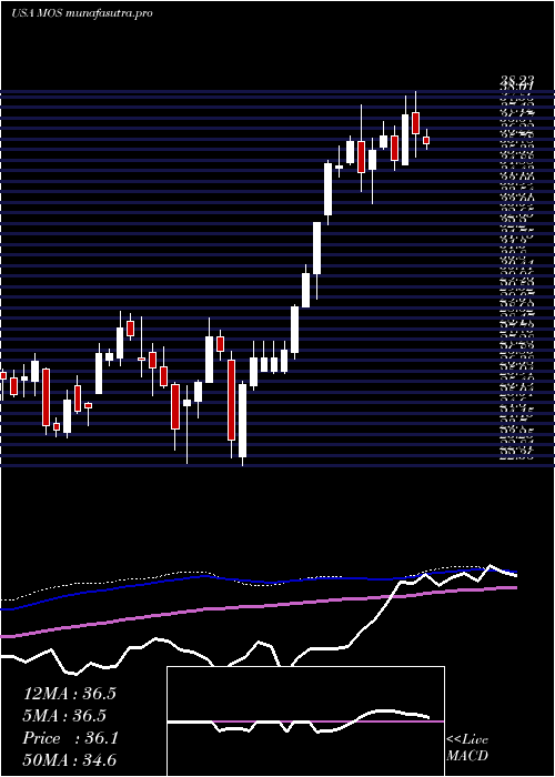 weekly chart MosaicCompany