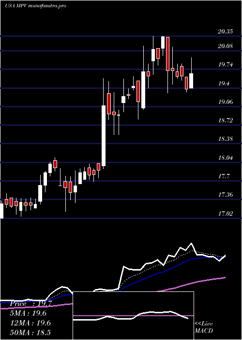 Daily chart BaringsParticipation