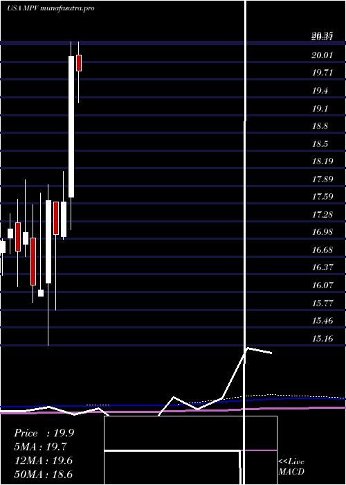 monthly chart BaringsParticipation