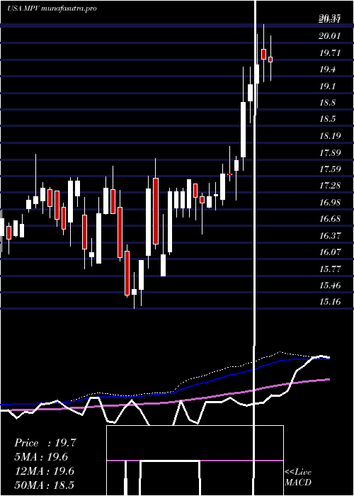 weekly chart BaringsParticipation