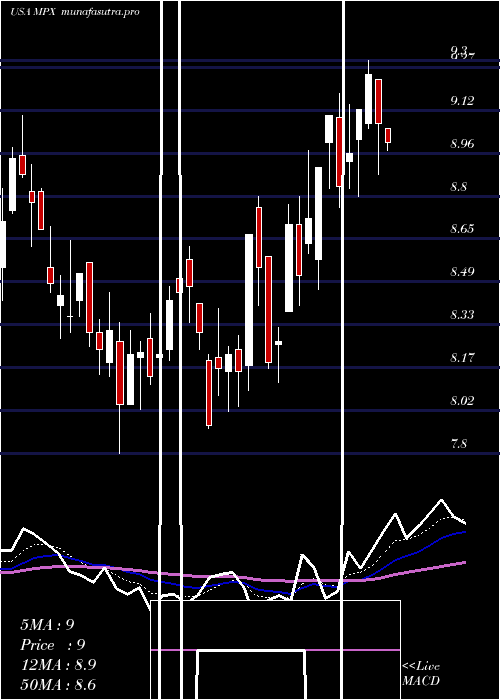 Daily chart MarineProducts