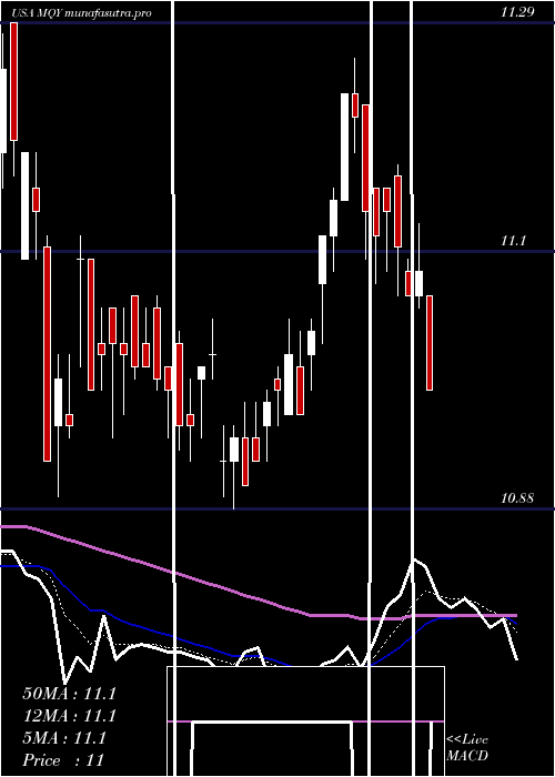Daily chart BlackrockMuniyield