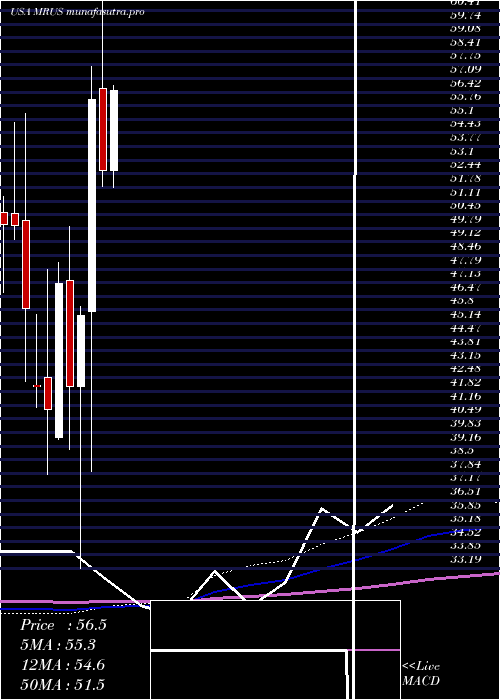  monthly chart MerusN