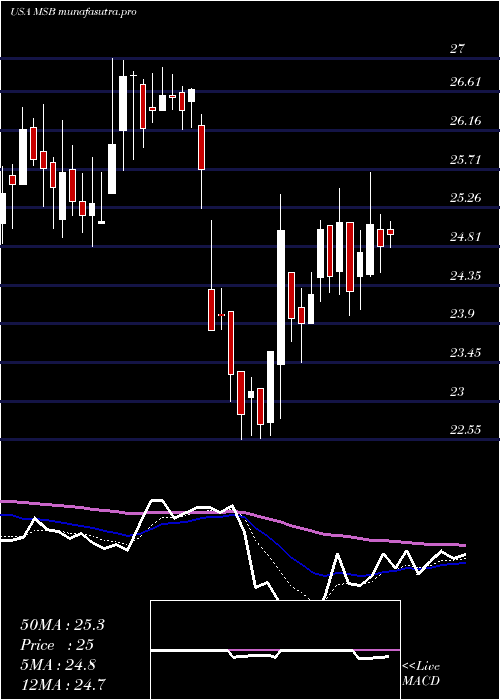 Daily chart MesabiTrust