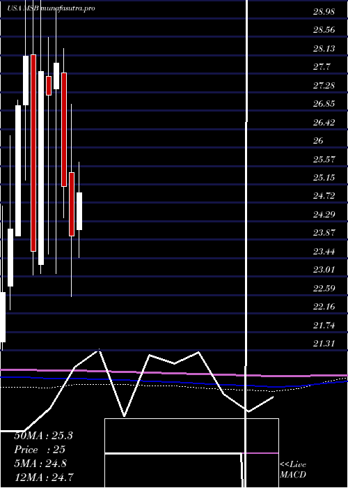 monthly chart MesabiTrust
