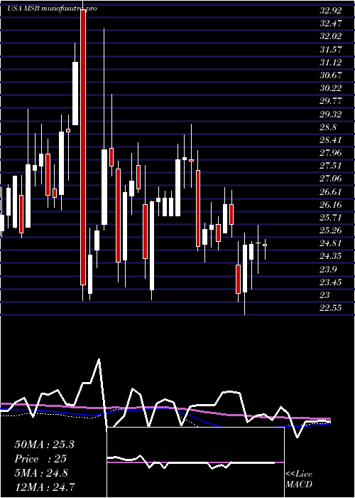 weekly chart MesabiTrust