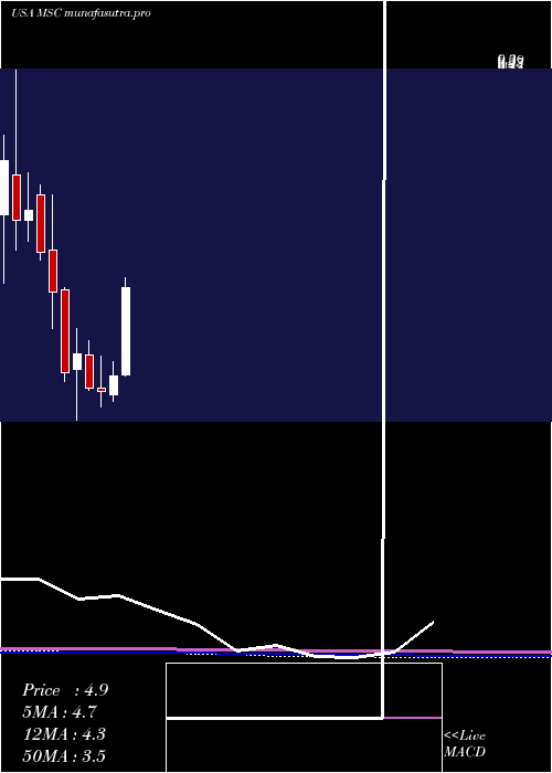 monthly chart StudioCity