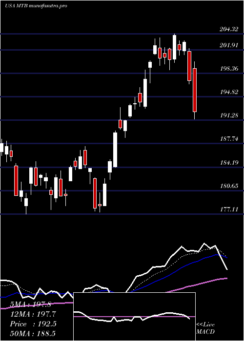 Daily chart MT