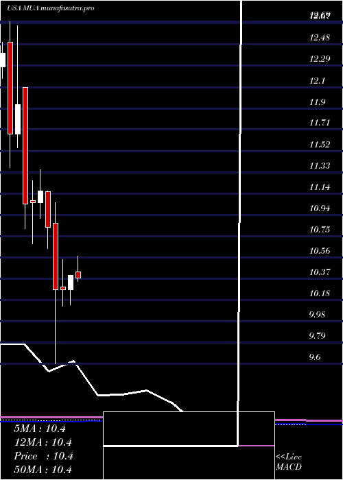monthly chart BlackrockMuniassets