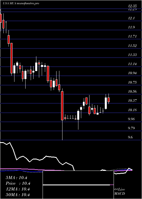 weekly chart BlackrockMuniassets