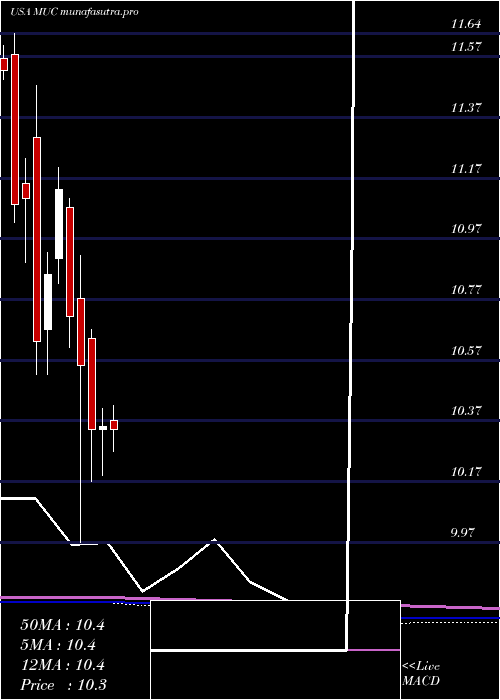 monthly chart BlackrockMuniholdings